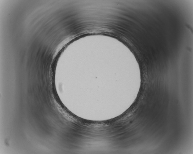 X0000103481122200810241031