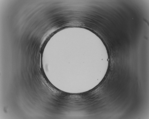 X0000103481123200810241031