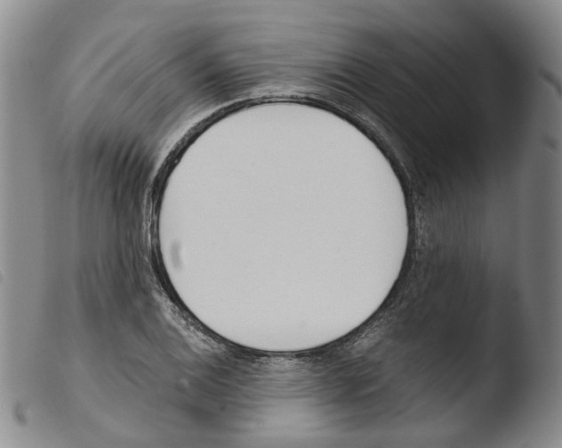 X0000103481124200810241031
