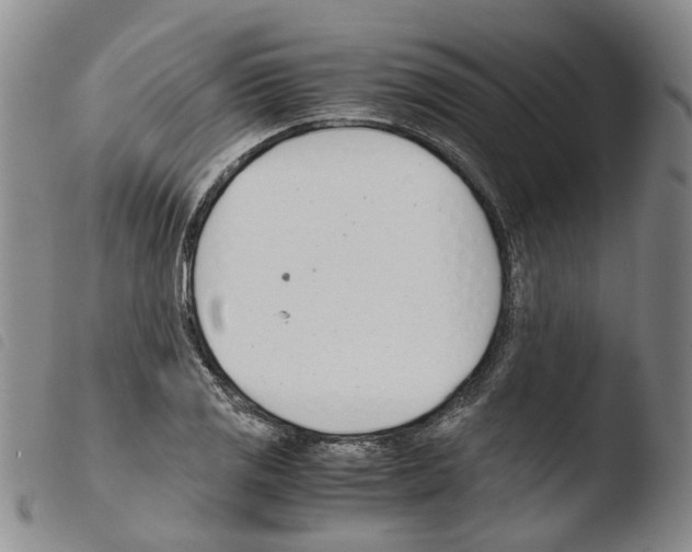 X0000103481125200810241031