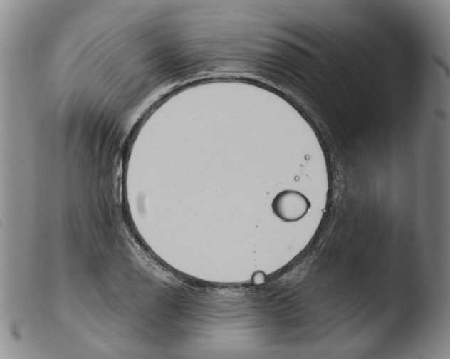 X0000103481126200810241032