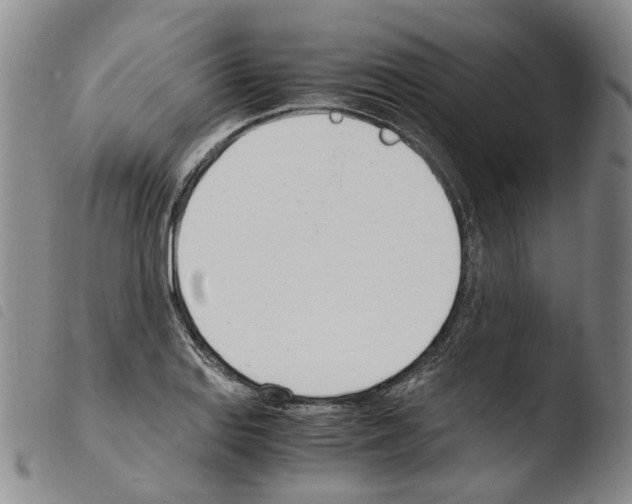 X0000103481127200810241032