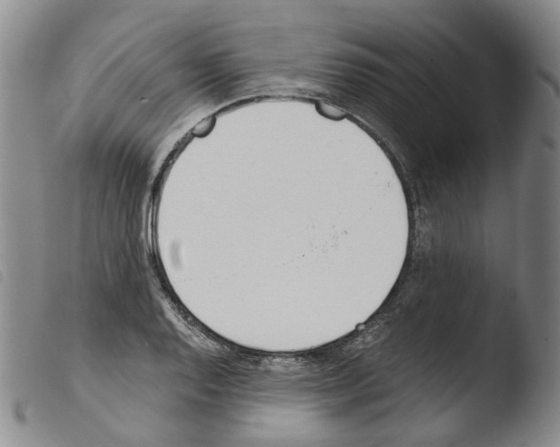 X0000103481128200810241032