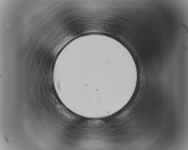 X0000103481129200810241032