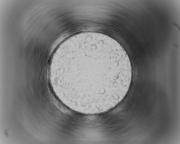 X0000103481130200810241032