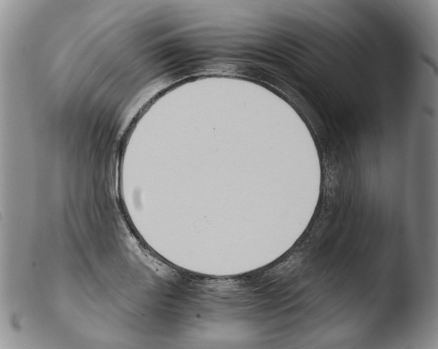 X0000103481131200810241032