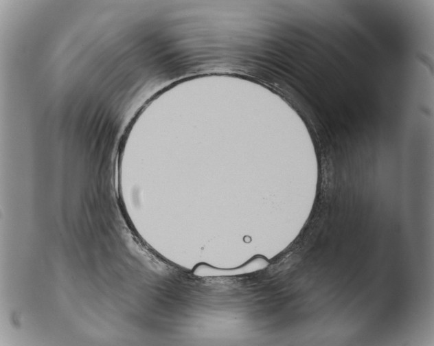 X0000103481132200810241032