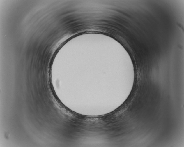 X0000103481133200810241032