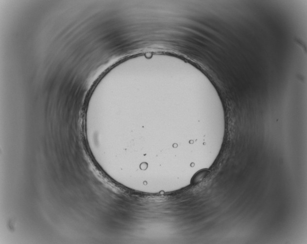 X0000103481134200810241032