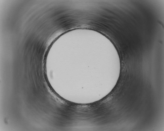 X0000103481135200810241032