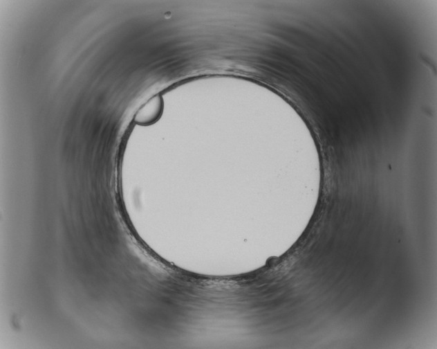X0000103481136200810241032