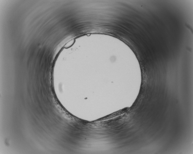 X0000103481138200810241032