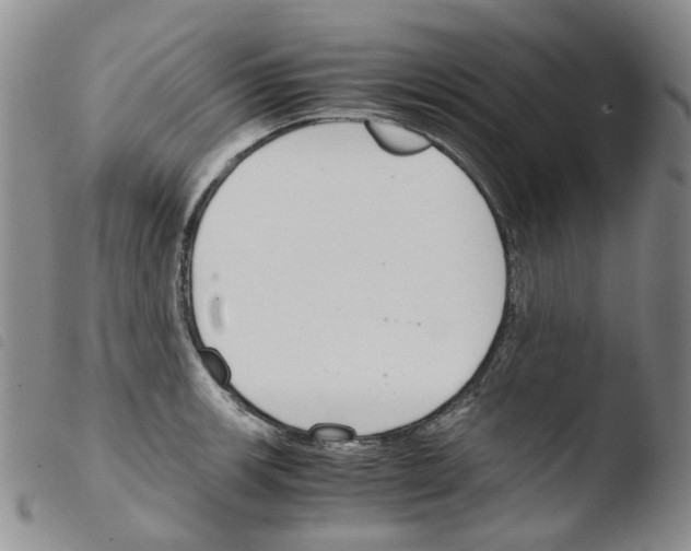X0000103481139200810241032