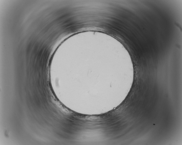 X0000103481140200810241032