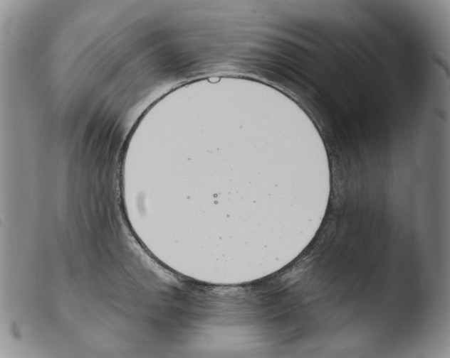 X0000103481142200810241032