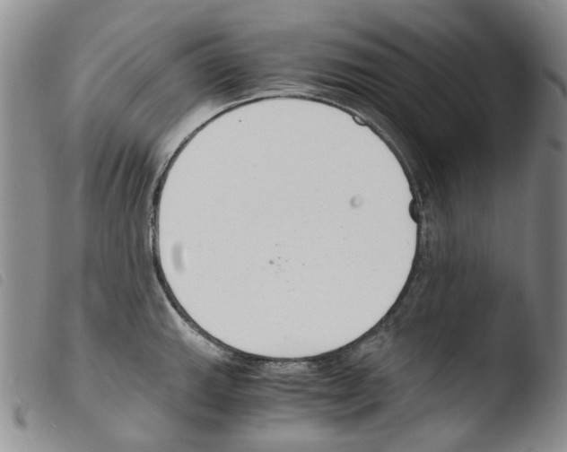 X0000103481143200810241032