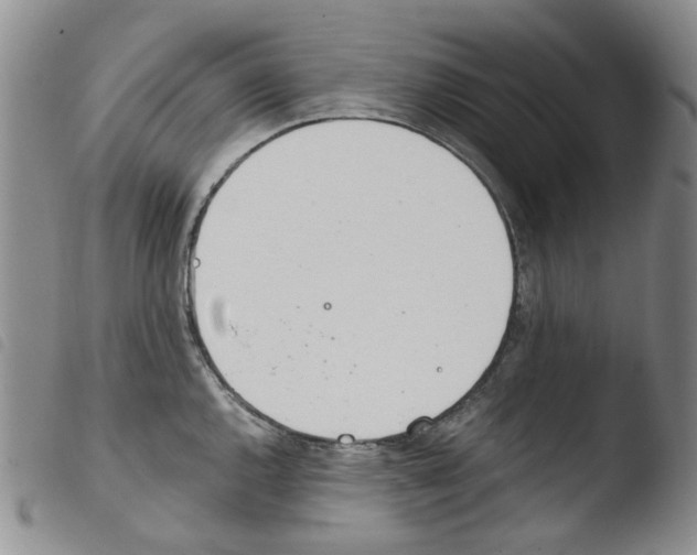 X0000103481144200810241032
