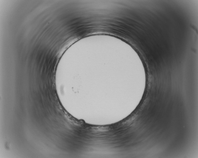 X0000103481145200810241032