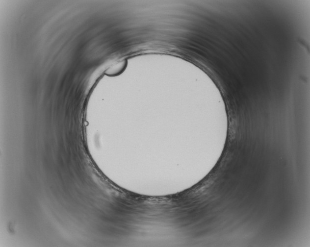 X0000103481146200810241032