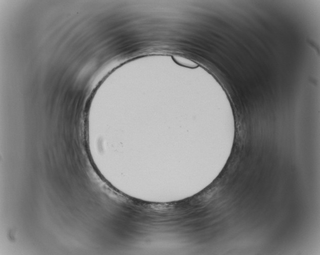 X0000103481147200810241032