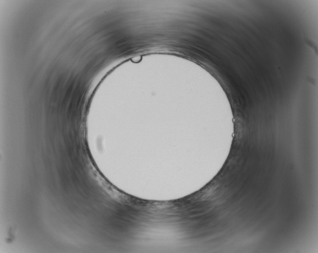 X0000103481148200810241032