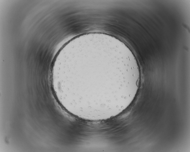 X0000103481149200810241032