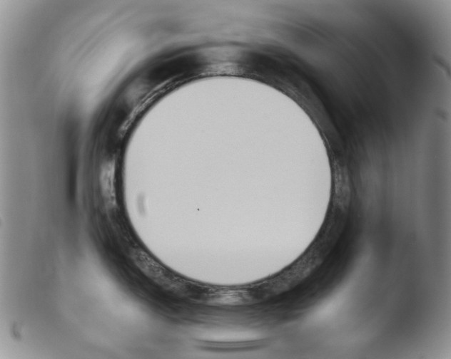 X0000103481150200810241032