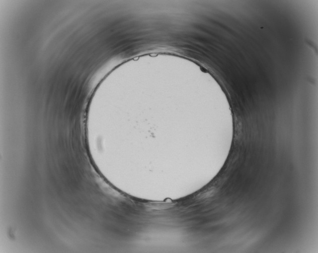 X0000103481151200810241032