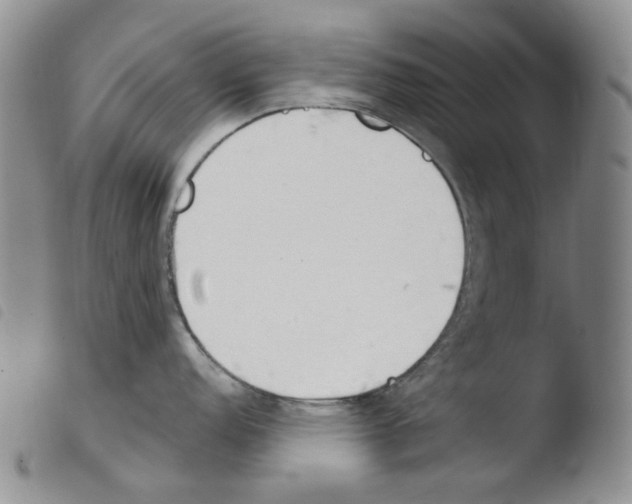 X0000103481152200810241032