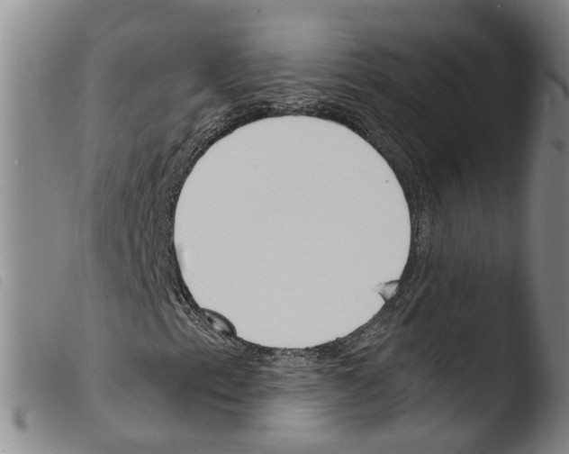 X0000103481153200810241031