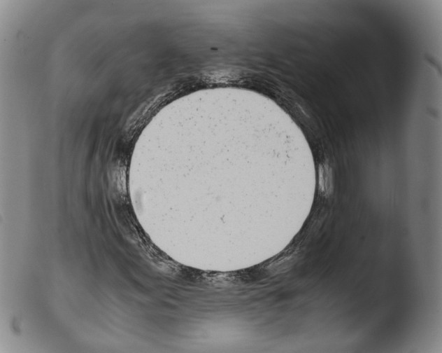 X0000103481155200810241031