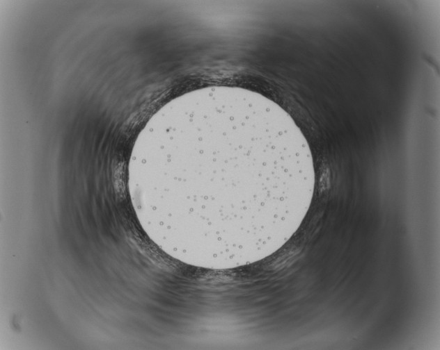 X0000103481156200810241031
