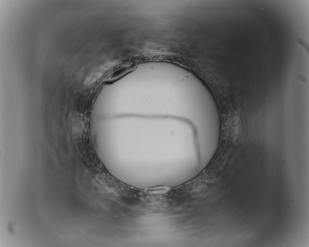 X0000103481157200810241031