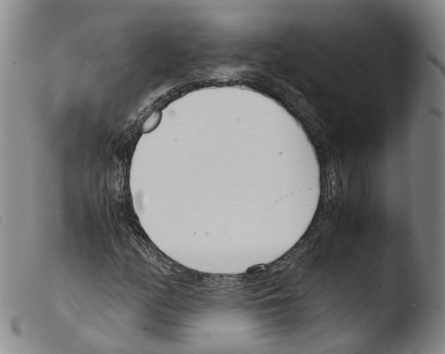 X0000103481158200810241031