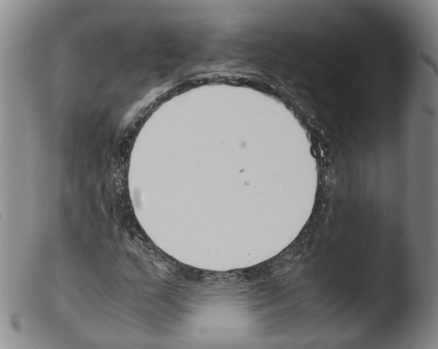 X0000103481159200810241031