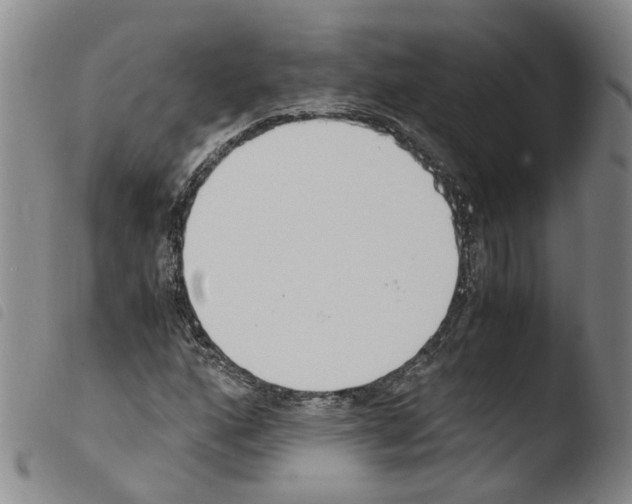 X0000103481160200810241031