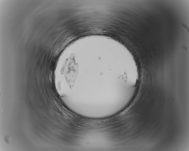 X0000103481161200810241031