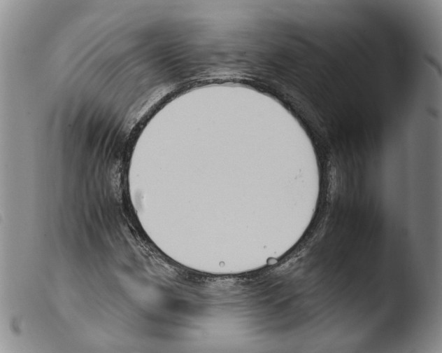 X0000103481162200810241031