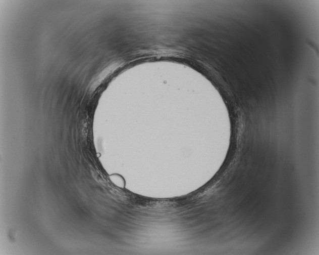 X0000103481163200810241031