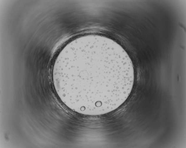 X0000103481164200810241031