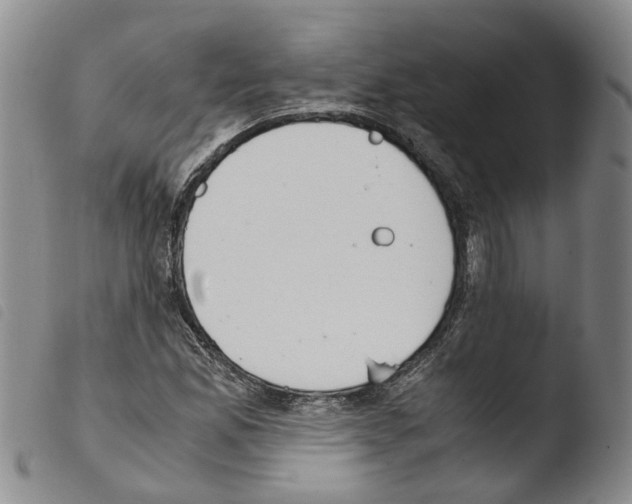 X0000103481165200810241031
