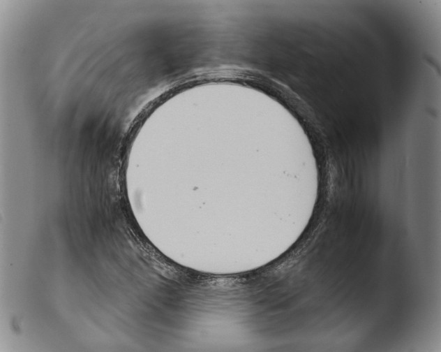 X0000103481166200810241031