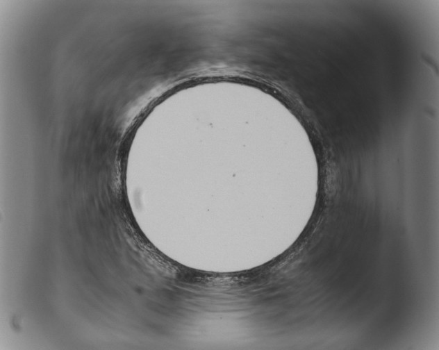 X0000103481167200810241031