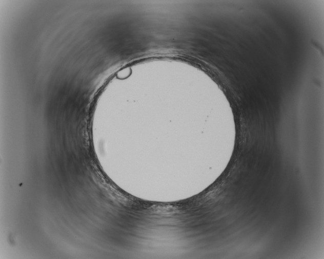 X0000103481168200810241031