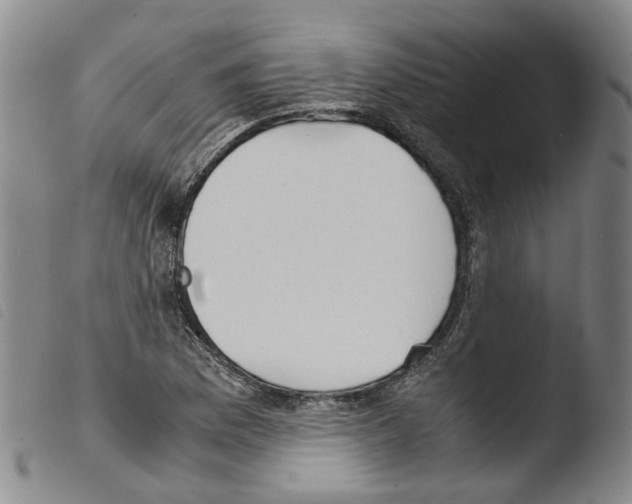 X0000103481169200810241031