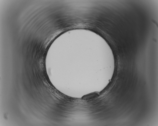 X0000103481170200810241031