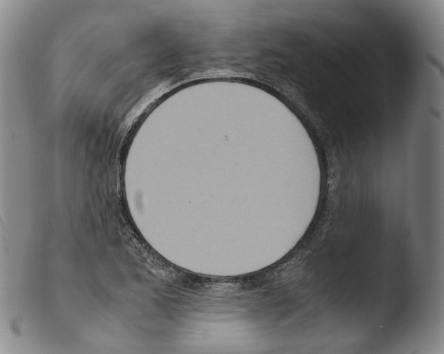X0000103481173200810241031
