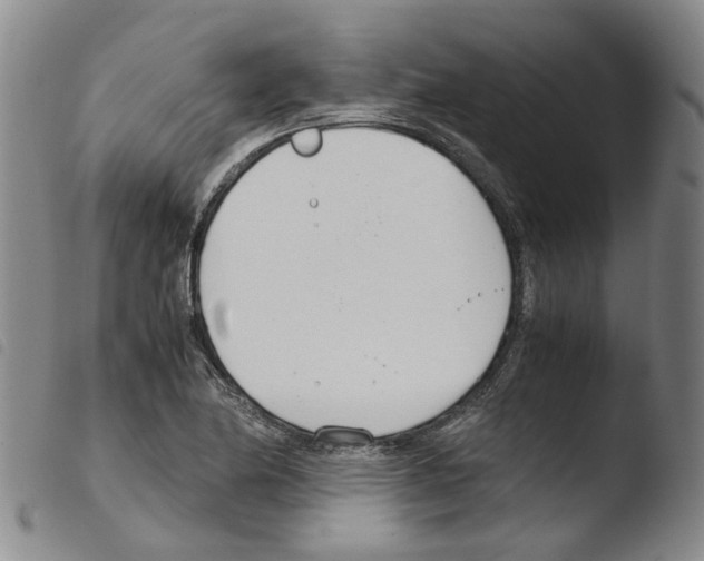 X0000103481174200810241031