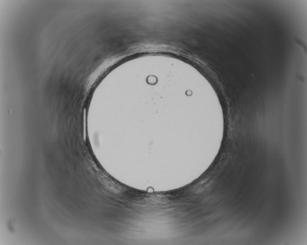X0000103481175200810241031