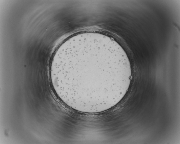 X0000103481176200810241031